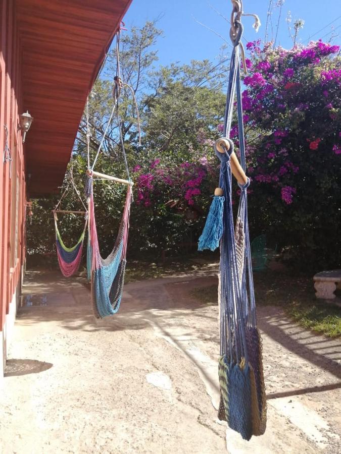 الجبل الأخضر Pension Y Cabinas Colibri B&B Costa Rica المظهر الخارجي الصورة