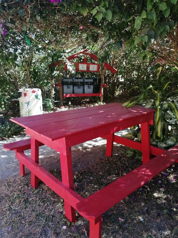 الجبل الأخضر Pension Y Cabinas Colibri B&B Costa Rica المظهر الخارجي الصورة
