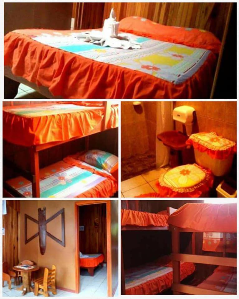 الجبل الأخضر Pension Y Cabinas Colibri B&B Costa Rica المظهر الخارجي الصورة